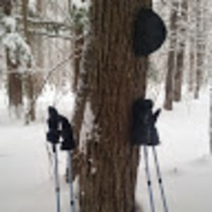 Meet your Posher, Jerine